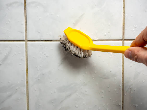 Best Mold Testing and Inspection Services in Kasson, MN